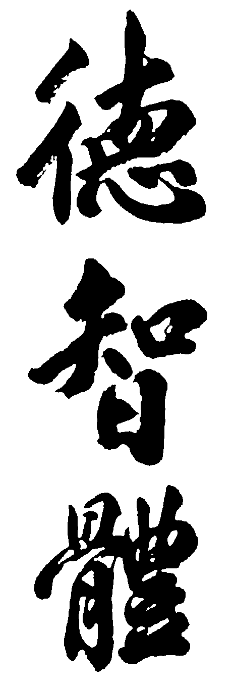 德智体 艺术字 毛笔字 书法字 繁体 标志设计 