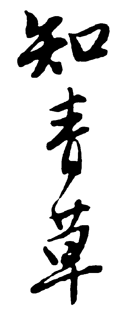 知青草 艺术字 毛笔字 书法字 繁体 标志设计 