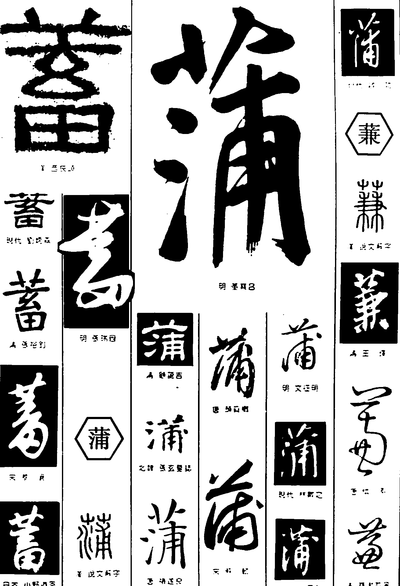 蓄蒲蒹 艺术字 毛笔字 书法字 繁体 标志设计 