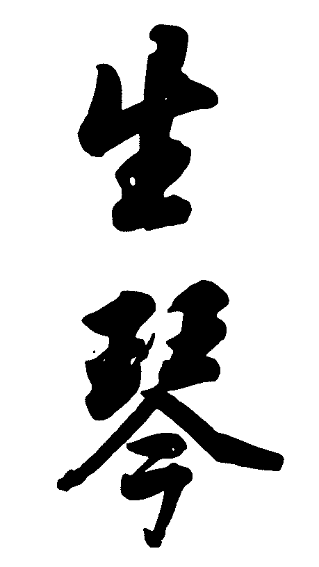 生琴 艺术字 毛笔字 书法字 繁体 标志设计 