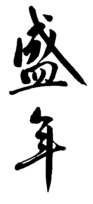 盛年 艺术字 毛笔字 书法字 繁体 标志设计 